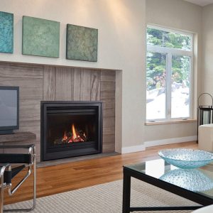 Regency Panorama Gas Fireplaces P36D-NG10