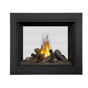 Napoleon Ascent See Through Direct Vent Fireplace